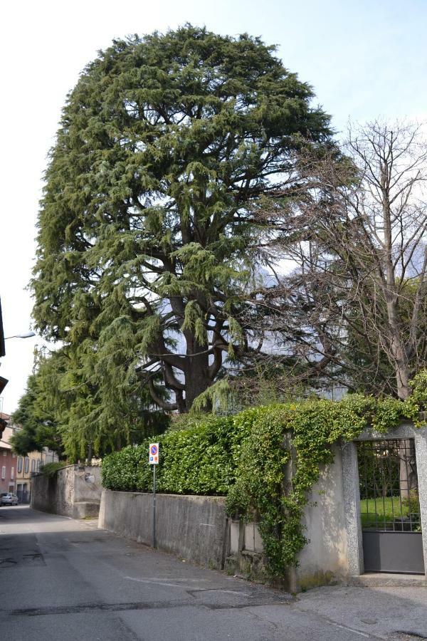 レッコ Casa Del Cedro - Cedar Houseヴィラ エクステリア 写真